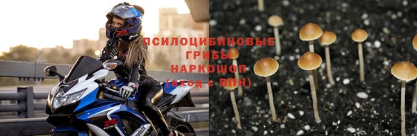 альфа пвп Майский