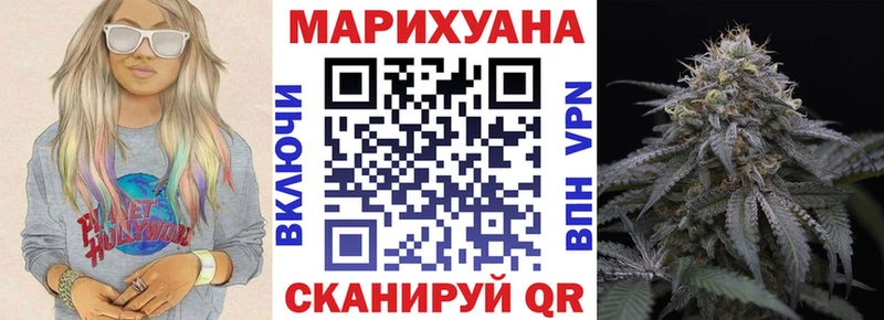 Марихуана сатива  продажа наркотиков  Копейск 
